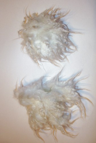 Медвежонок